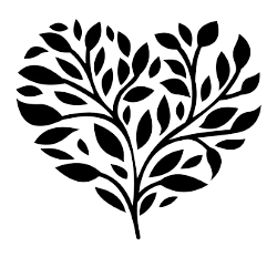 DoctorTruth logo