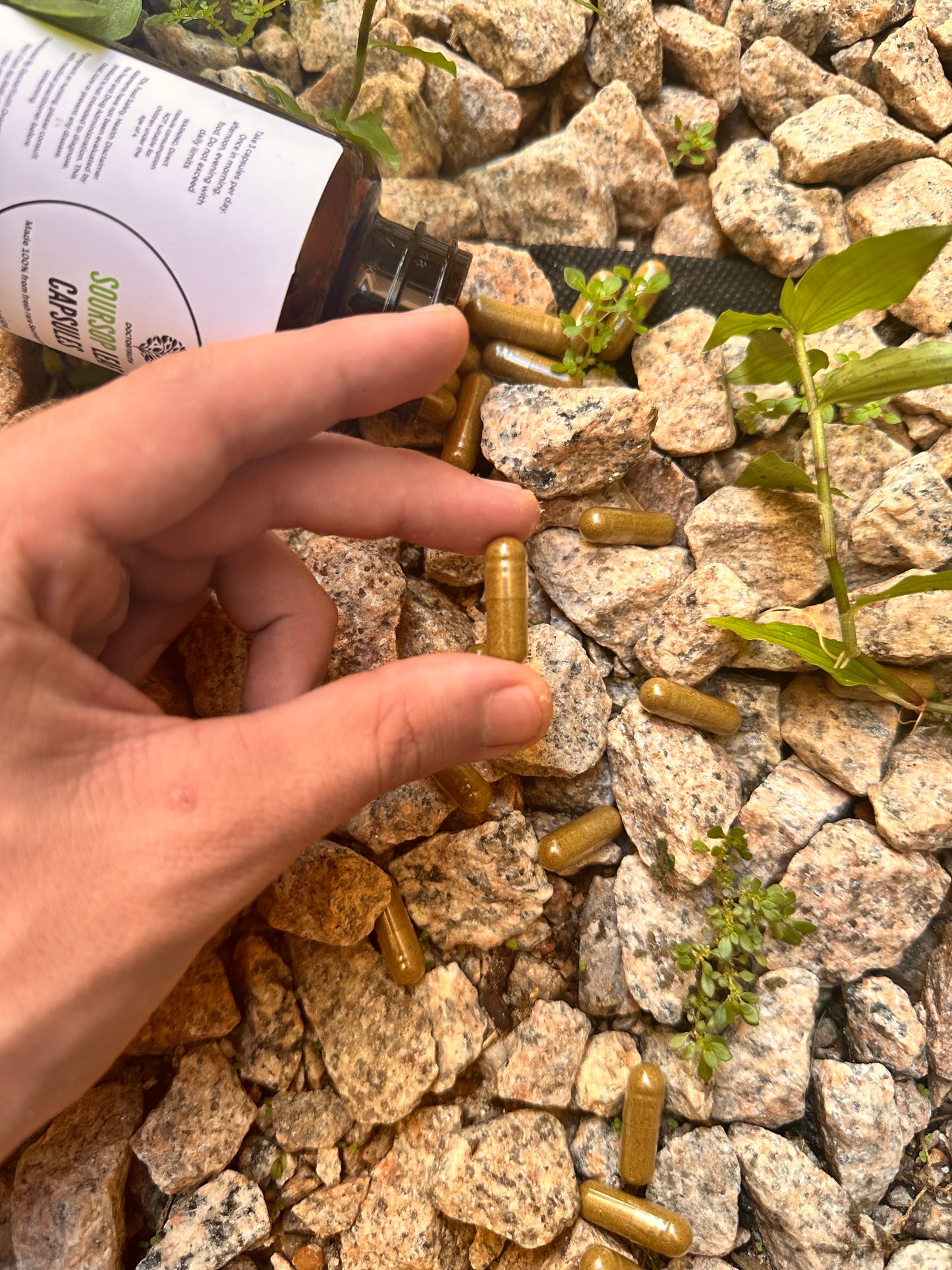 Soursop Capsules